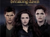 19-the-twilight-saga-part-2_breaking-dawn