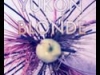 23-yukon-blonde_mastered